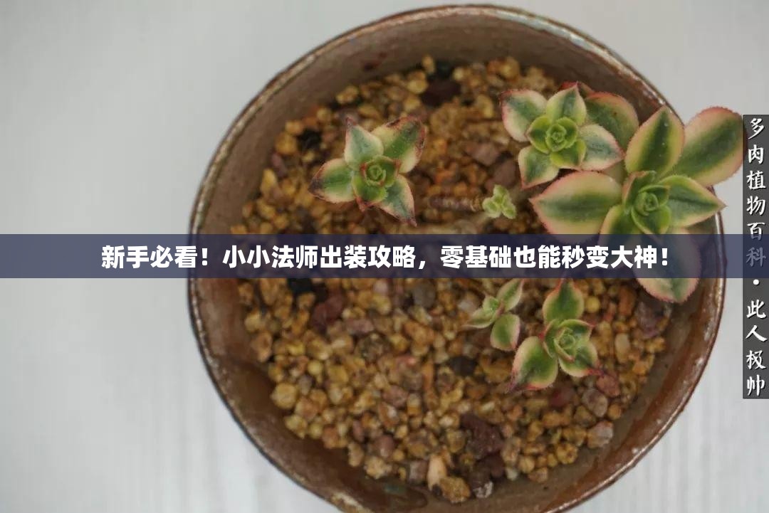 新手必看！小小法师出装攻略，零基础也能秒变大神！