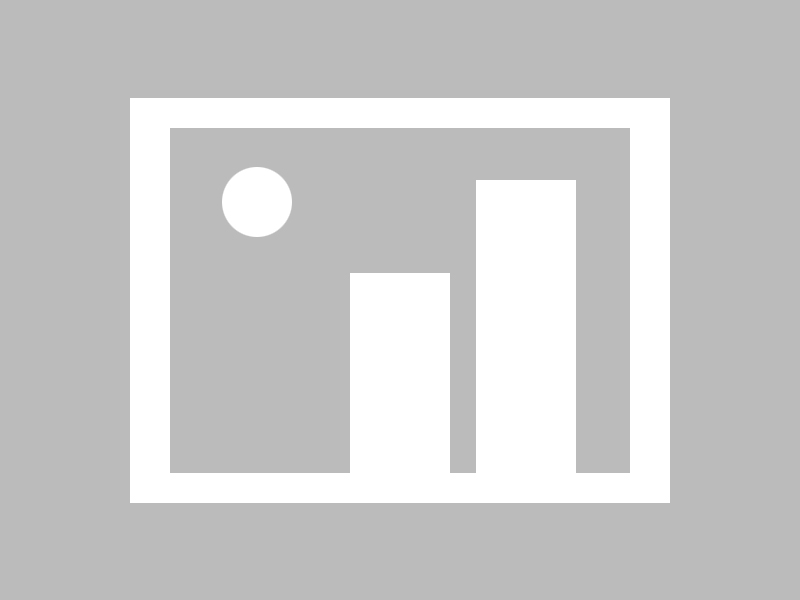 爆哭推荐！小森生活宠物商店隐藏位置大公开！手残党秒懂路线✨