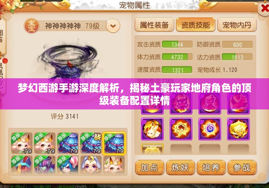 梦幻西游手游深度解析，揭秘土豪玩家地府角色的顶级装备配置详情