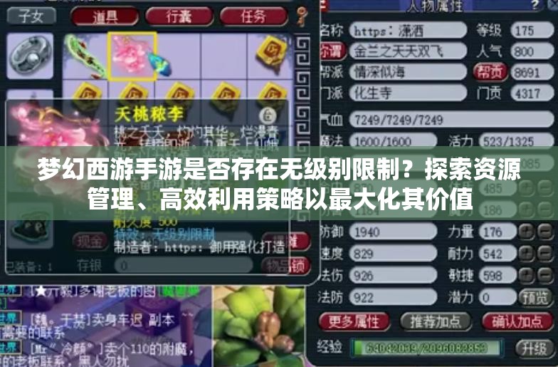 梦幻西游手游是否存在无级别限制？探索资源管理、高效利用策略以最大化其价值