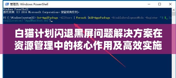 白猫计划闪退黑屏问题解决方案在资源管理中的核心作用及高效实施策略