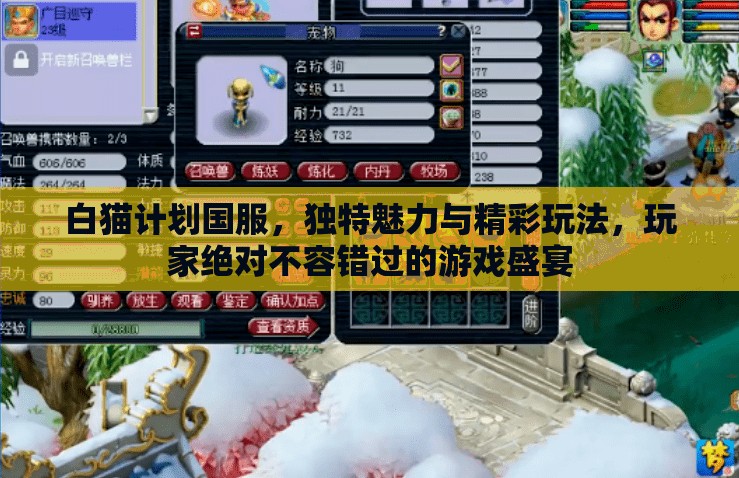 白猫计划国服，独特魅力与精彩玩法，玩家绝对不容错过的游戏盛宴
