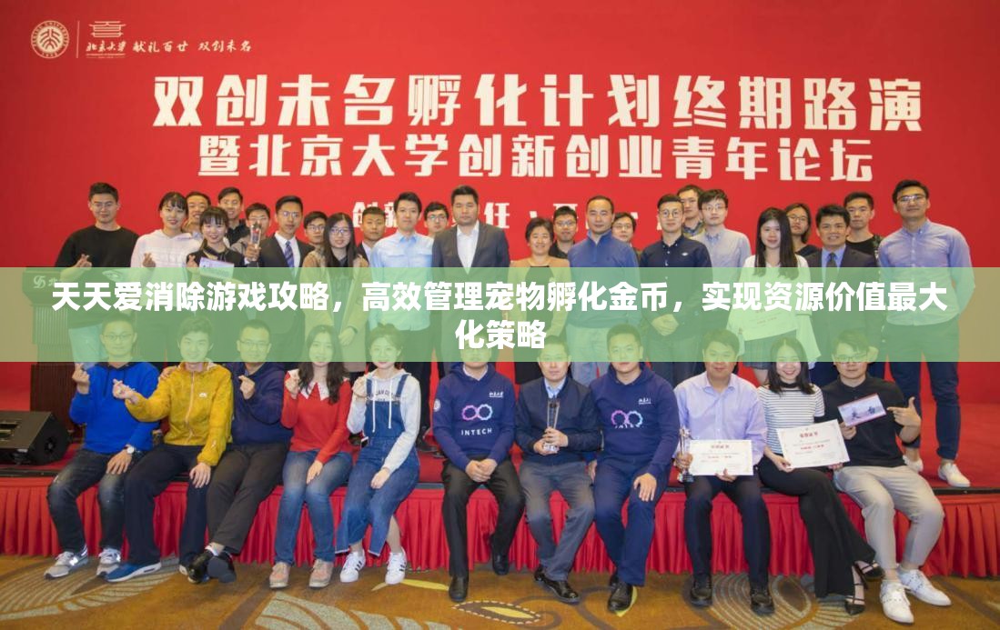 天天爱消除游戏攻略，高效管理宠物孵化金币，实现资源价值最大化策略