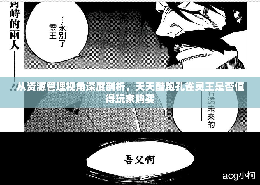 从资源管理视角深度剖析，天天酷跑孔雀灵王是否值得玩家购买