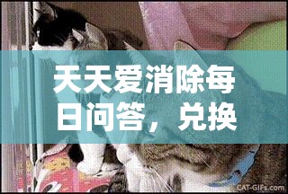 天天爱消除每日问答，兑换咕咕猫所需积分在资源管理中的关键性及优化策略