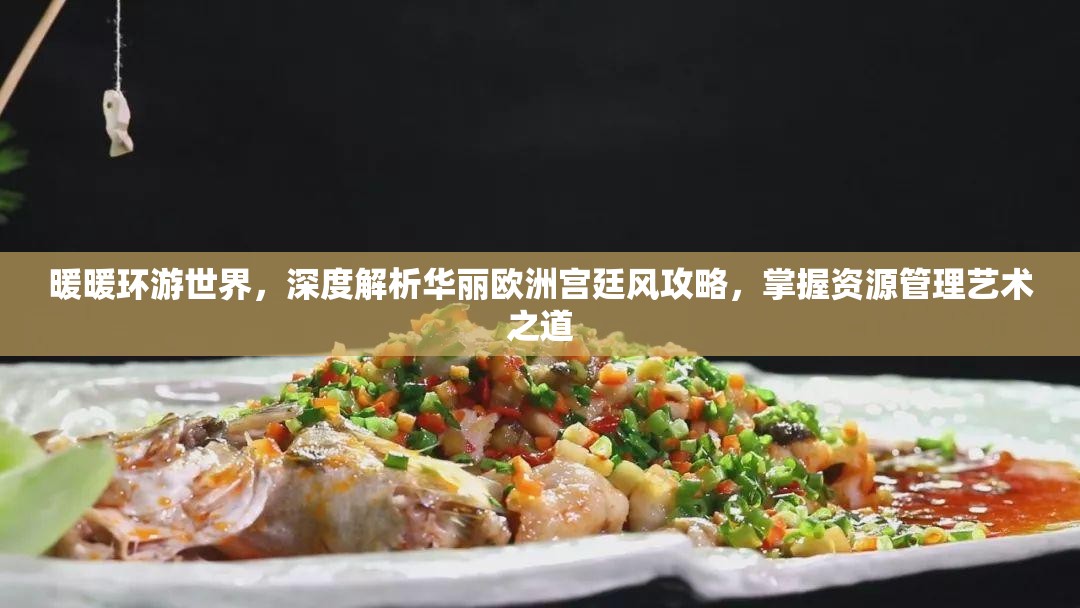暖暖环游世界，深度解析华丽欧洲宫廷风攻略，掌握资源管理艺术之道