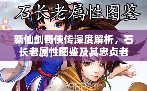 新仙剑奇侠传深度解析，石长老属性图鉴及其忠贞老臣的传奇历程