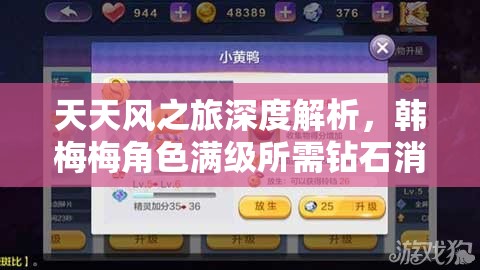 天天风之旅深度解析，韩梅梅角色满级所需钻石消耗全面揭秘