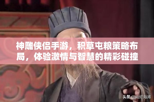 神雕侠侣手游，积草屯粮策略布局，体验激情与智慧的精彩碰撞
