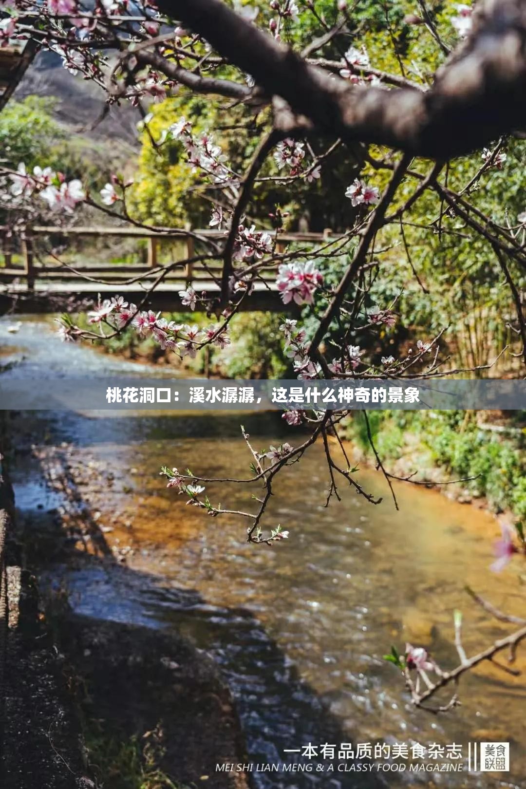 桃花洞口：溪水潺潺，这是什么神奇的景象