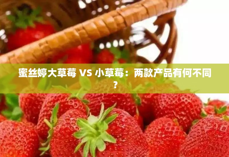 蜜丝婷大草莓 VS 小草莓：两款产品有何不同？