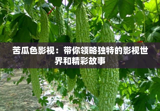 苦瓜色影视：带你领略独特的影视世界和精彩故事