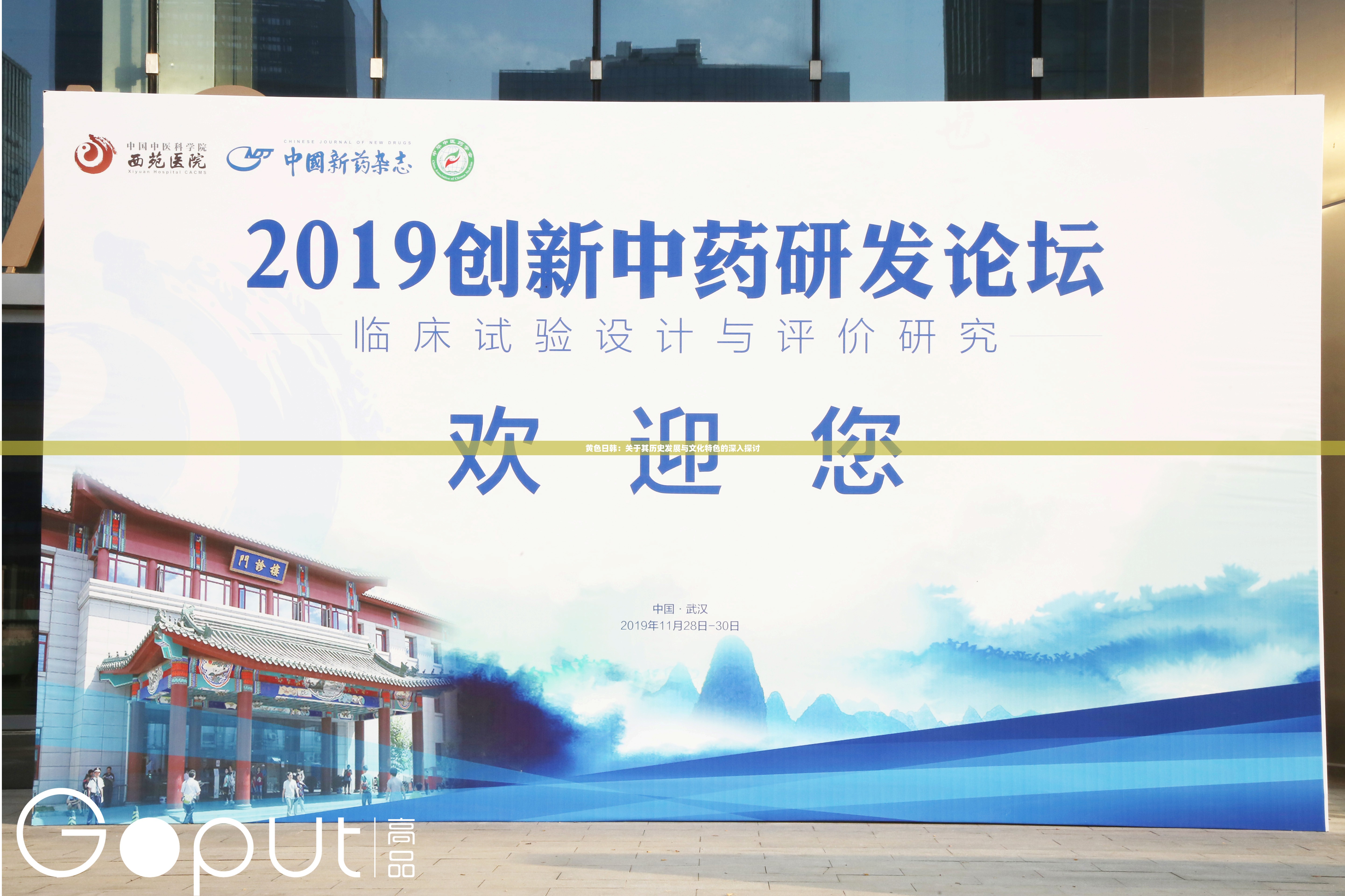 黄色日韩：关于其历史发展与文化特色的深入探讨