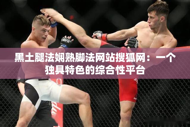 黑土腿法娴熟脚法网站搜狐网：一个独具特色的综合性平台