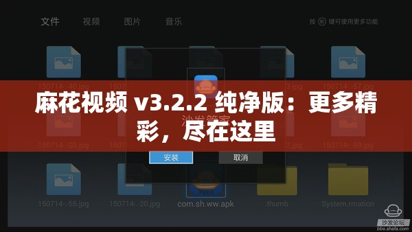 麻花视频 v3.2.2 纯净版：更多精彩，尽在这里