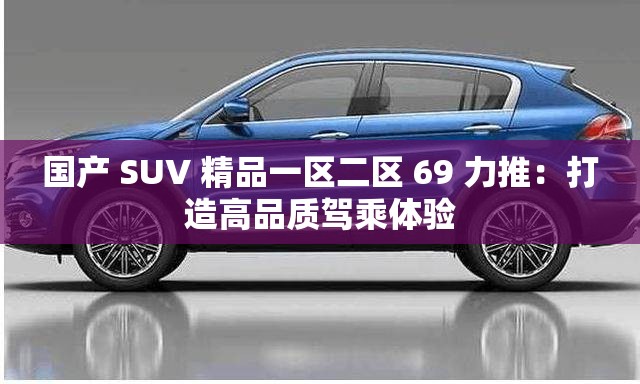 国产 SUV 精品一区二区 69 力推：打造高品质驾乘体验