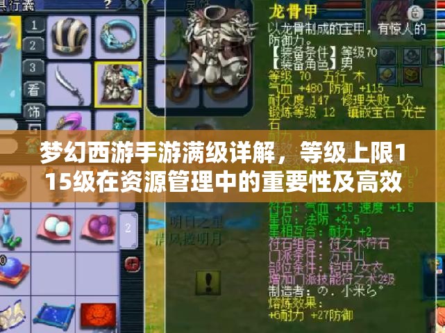 梦幻西游手游满级详解，等级上限115级在资源管理中的重要性及高效利用策略