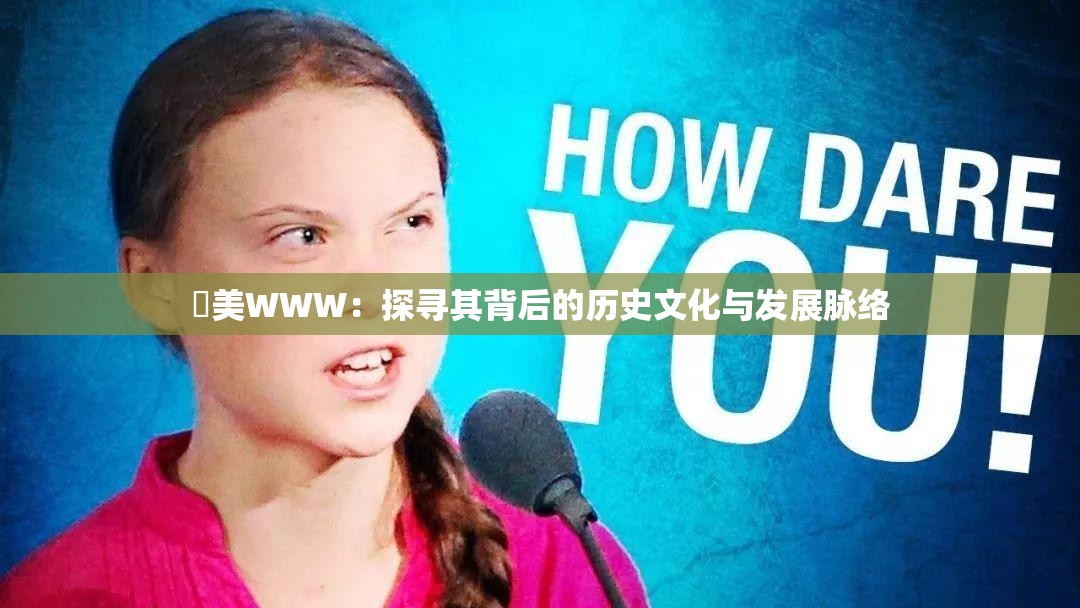 歐美WWW：探寻其背后的历史文化与发展脉络