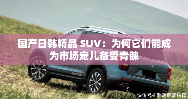 国产日韩精品 SUV：为何它们能成为市场宠儿备受青睐