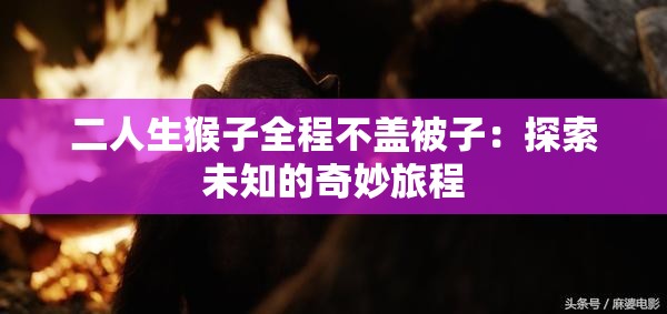 二人生猴子全程不盖被子：探索未知的奇妙旅程