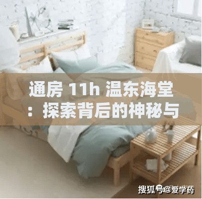 通房 11h 温东海堂：探索背后的神秘与传奇故事