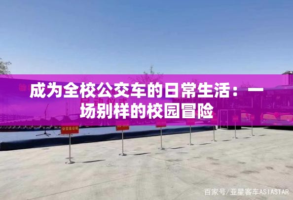成为全校公交车的日常生活：一场别样的校园冒险