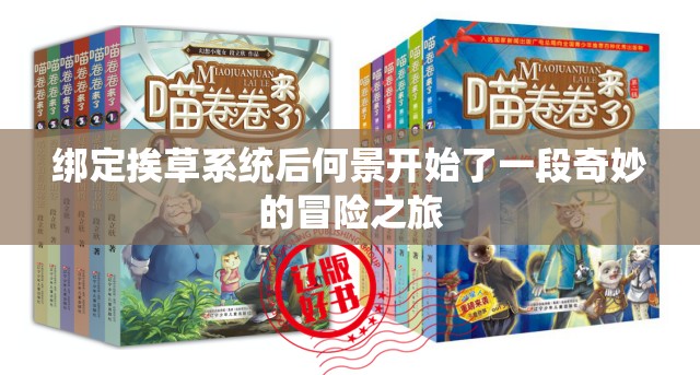 绑定挨草系统后何景开始了一段奇妙的冒险之旅