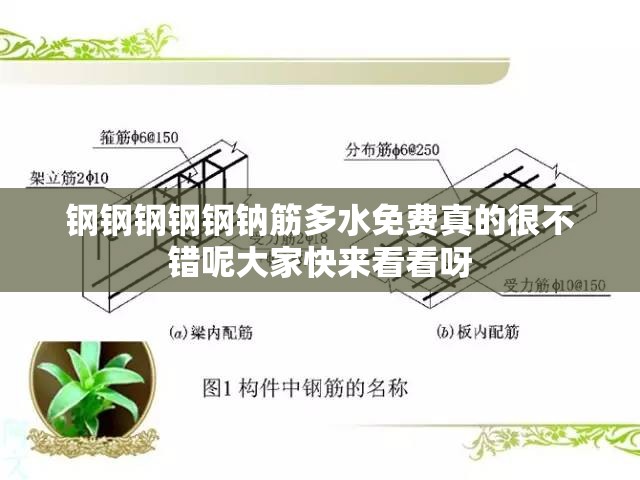 钢钢钢钢钢钠筋多水免费真的很不错呢大家快来看看呀