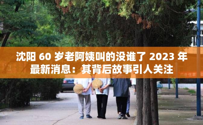 沈阳 60 岁老阿姨叫的没谁了 2023 年最新消息：其背后故事引人关注