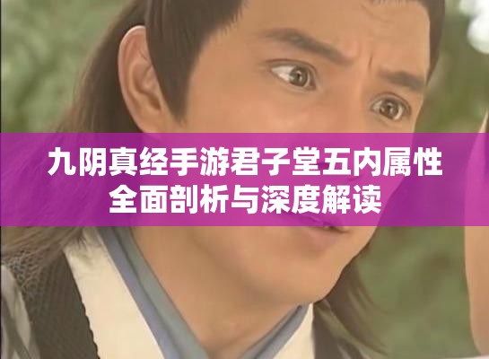 九阴真经手游君子堂五内属性全面剖析与深度解读