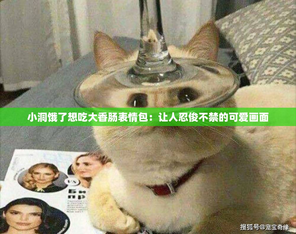 小洞饿了想吃大香肠表情包：让人忍俊不禁的可爱画面