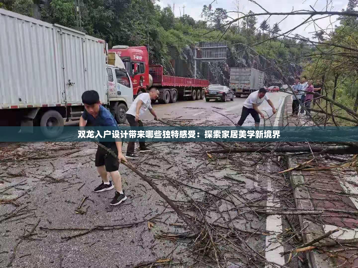 双龙入户设计带来哪些独特感受：探索家居美学新境界