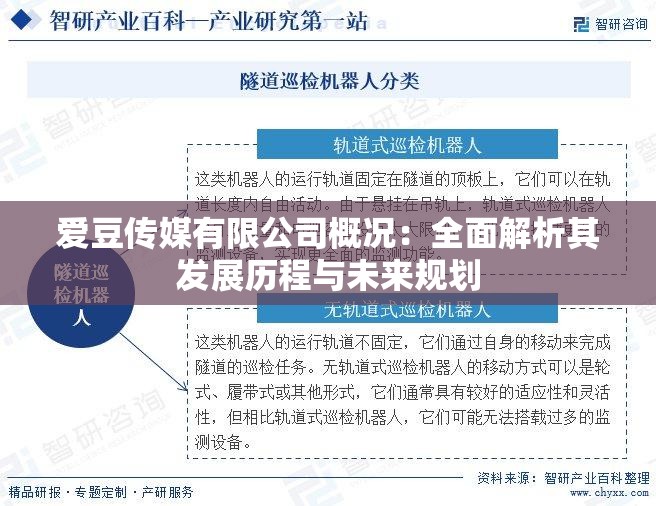 爱豆传媒有限公司概况：全面解析其发展历程与未来规划