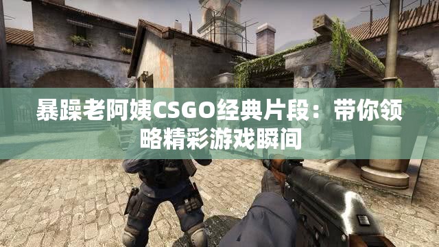 暴躁老阿姨CSGO经典片段：带你领略精彩游戏瞬间