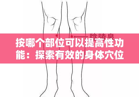 按哪个部位可以提高性功能：探索有效的身体穴位与技巧