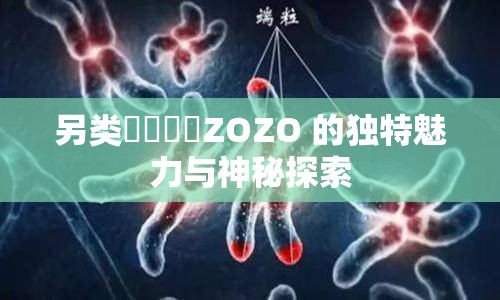 另类乄乄乄乄ZOZO 的独特魅力与神秘探索