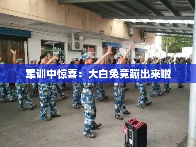 军训中惊喜：大白兔竟蹦出来啦