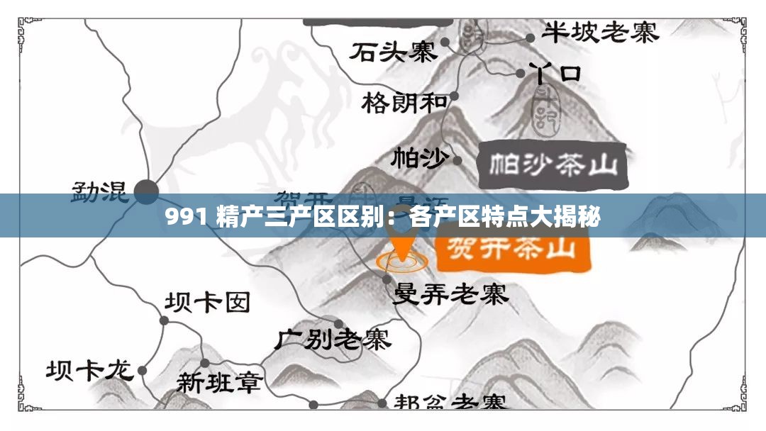 991 精产三产区区别：各产区特点大揭秘