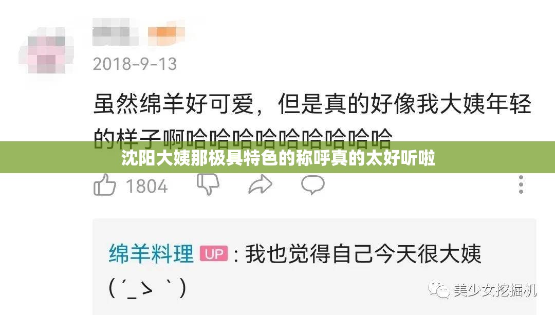 沈阳大姨那极具特色的称呼真的太好听啦