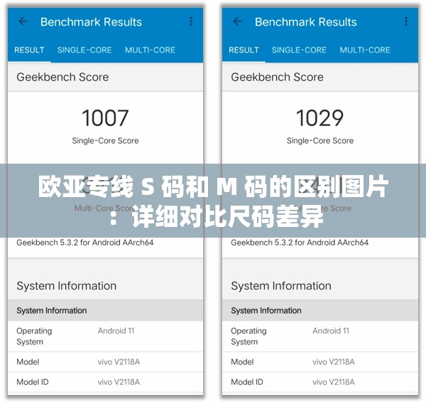 欧亚专线 S 码和 M 码的区别图片：详细对比尺码差异