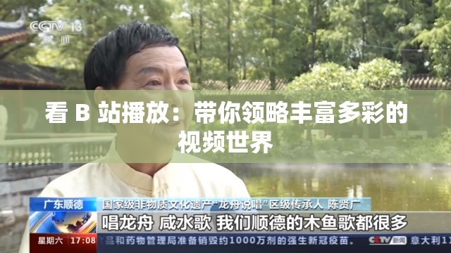 看 B 站播放：带你领略丰富多彩的视频世界