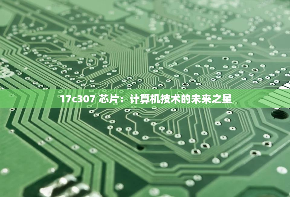 17c307 芯片：计算机技术的未来之星