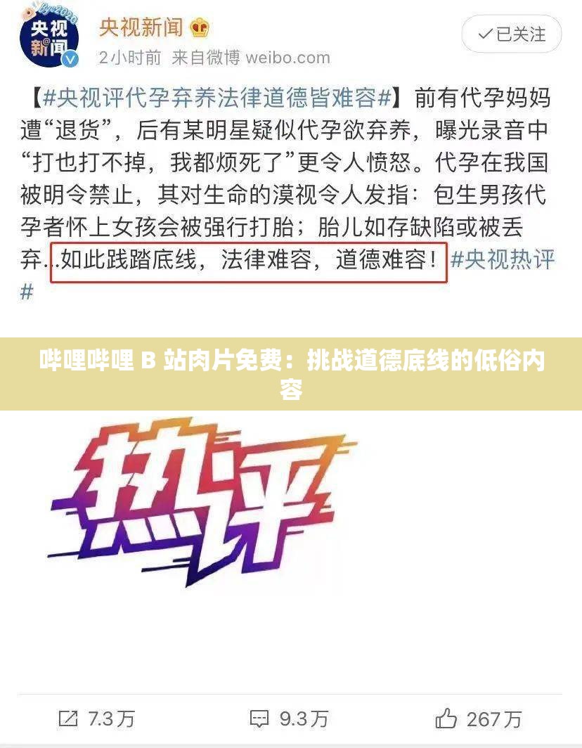 哔哩哔哩 B 站肉片免费：挑战道德底线的低俗内容