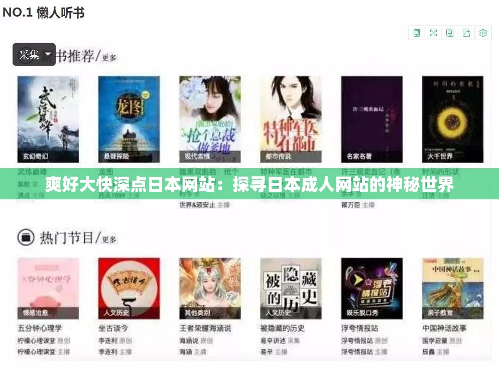 爽好大快深点日本网站：探寻日本成人网站的神秘世界