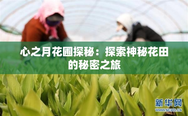 心之月花圃探秘：探索神秘花田的秘密之旅