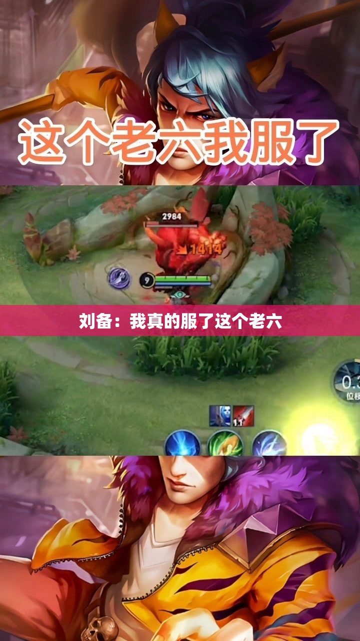 刘备：我真的服了这个老六