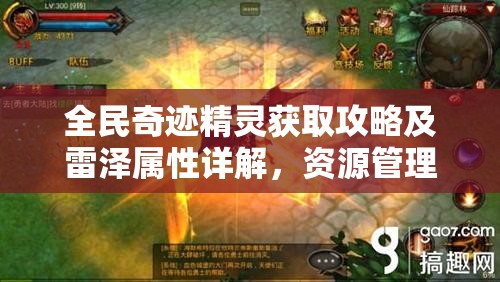 全民奇迹精灵获取攻略及雷泽属性详解，资源管理高效利用策略，避免资源浪费