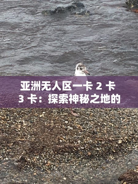 亚洲无人区一卡 2 卡 3 卡：探索神秘之地的惊险之旅