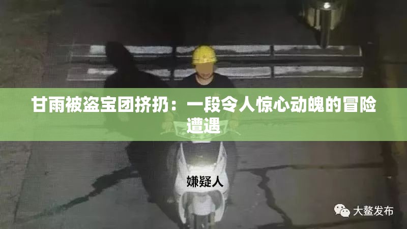甘雨被盗宝团挤扔：一段令人惊心动魄的冒险遭遇