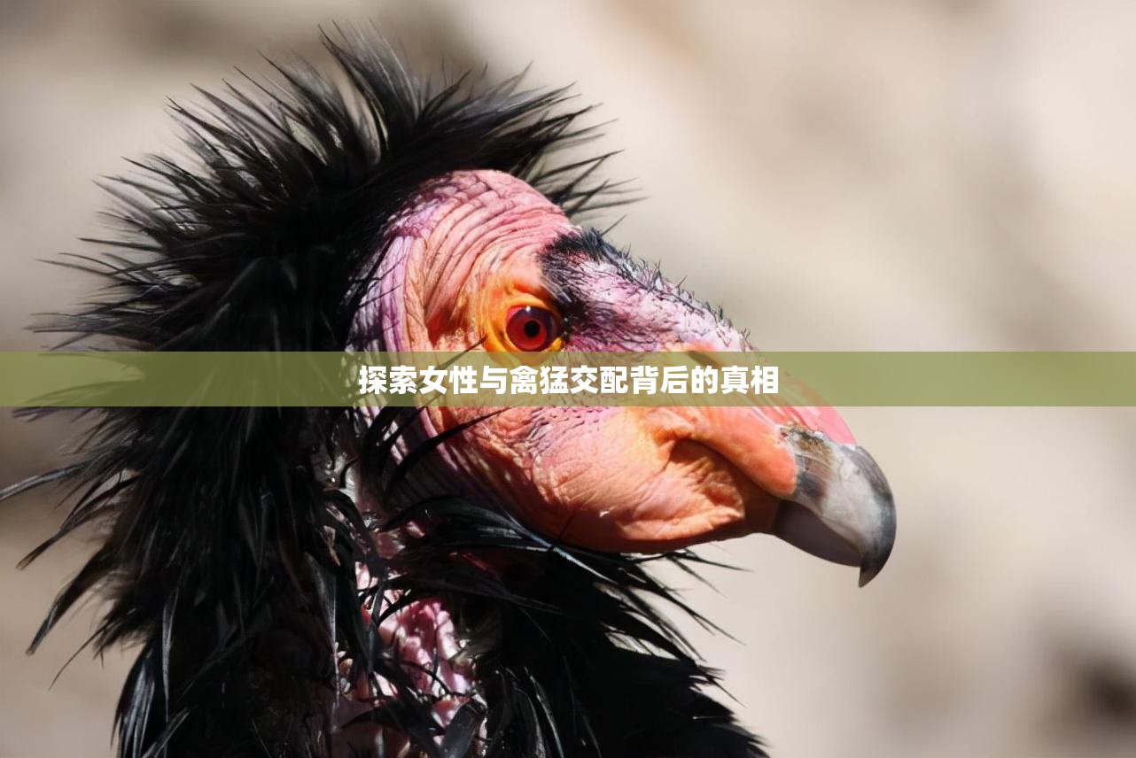 探索女性与禽猛交配背后的真相